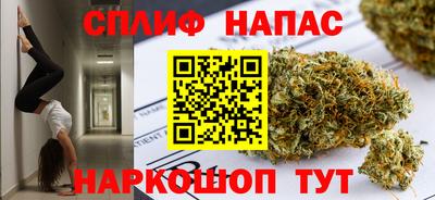 сатива Аргун