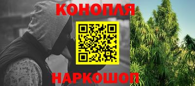 сатива Аргун