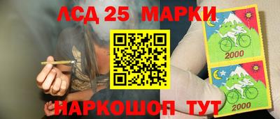 сатива Аргун