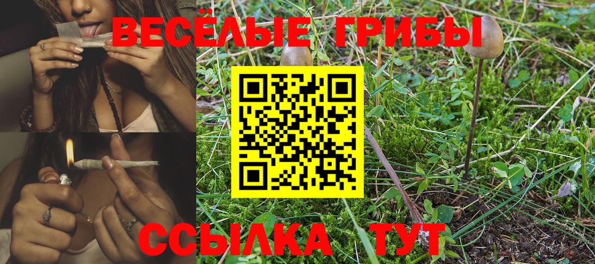 Галлюциногенные грибы мухоморы  Шадринск 