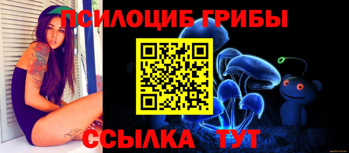 Шадринск  Псилоцибиновые грибы GOLDEN TEACHER  Псилоцибиновые грибы Magic Shrooms  купить наркотик  Вход с VPN 